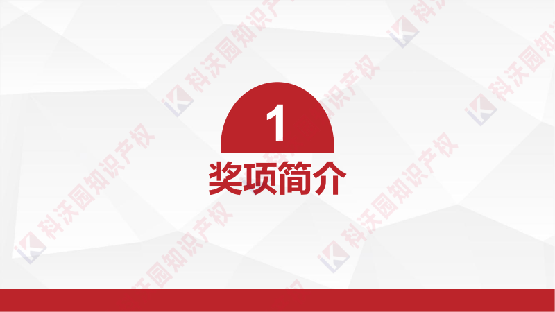中國產(chǎn)學(xué)研合作創(chuàng)新與促進(jìn)獎(jiǎng)_02