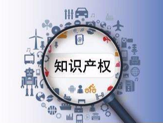 知識產權保護，助力小型企業發展